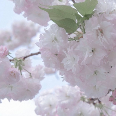 兽设场景透视绘画教程FurryQQ群